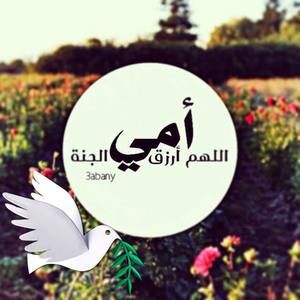 Meet your Posher, Mona